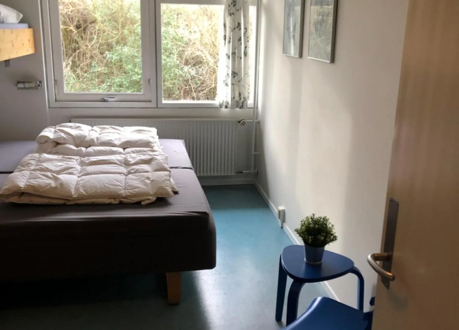 Danhostel Ålborg Danmark